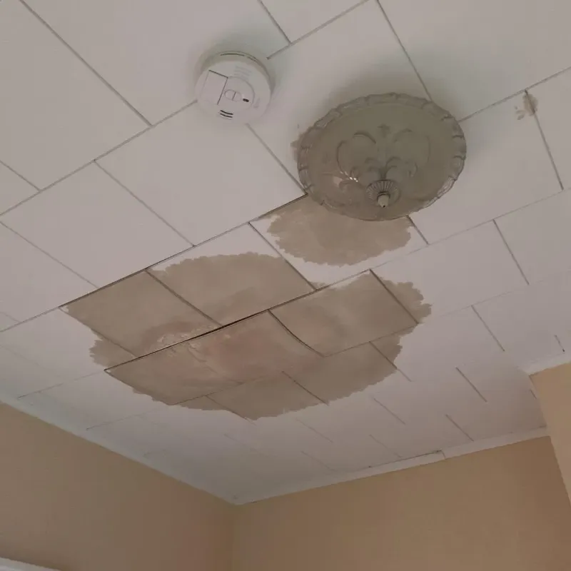 Ceiling Water Damage Repair in Montague County, TX