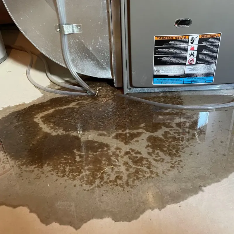 Pipe Burst and Leak Restoration in Montague County, TX