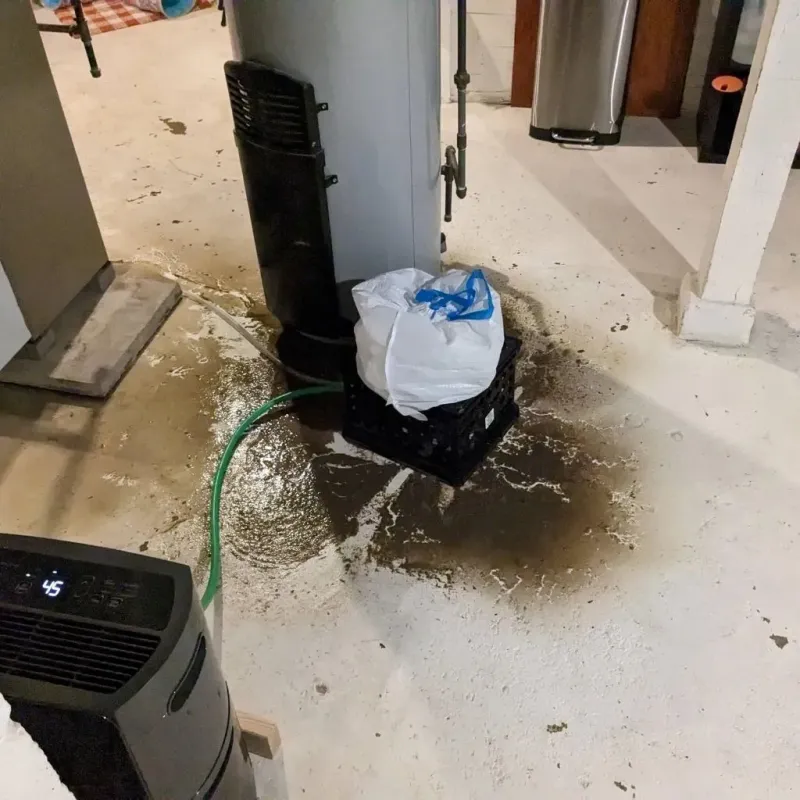 Sewage Backup Cleanup Service in Montague County, TX